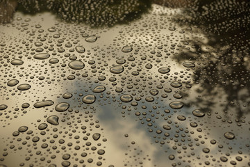 Water drops