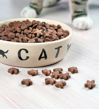 Katzenfutter