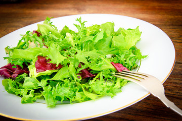 Salad Mix Batavian, Frise, Radicchio, Chicory