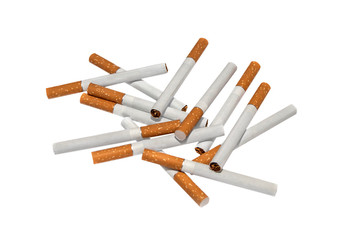 Cigarettes isolated on white background