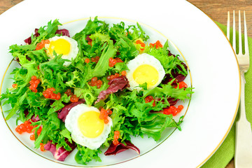 Salad Mix Batavian, Frise, Radicchio, Chicory, Dietary Mel