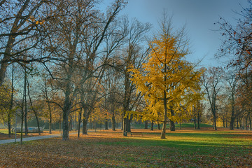 The last yellow Tree realistic