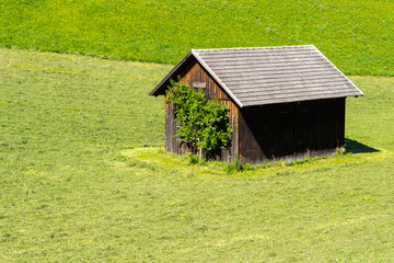 Fototapeta premium Tool shed in a green meadow