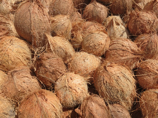 Heap of coconuts. Inhambane, Mozambique, Africa