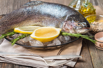 Fresh trout on plate with ice