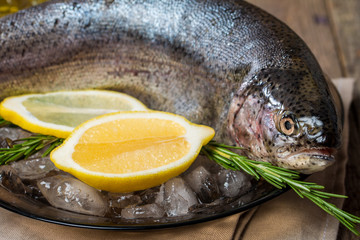 Fresh trout on plate with ice