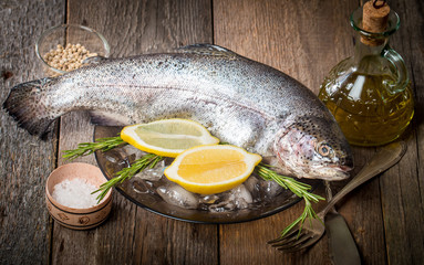 Fresh trout on plate with ice