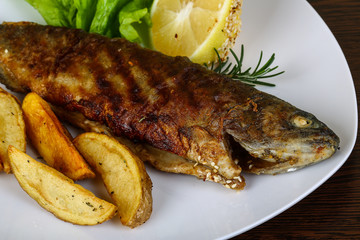 Grilled trout