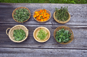 Freshly picked herbs in bowls placed on wooden table