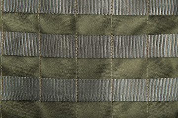 old olive molle background