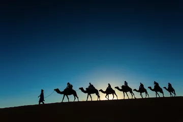 Foto auf Leinwand Sillhouette of camel caravan going through the desert at sunset. © danmir12