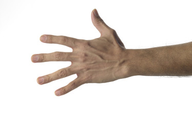 Human Hand / Image can be used in vertical orientation too 