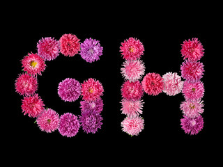 Letter G, H from bright asters on the black