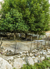 Iraqi countryside in Fall near Erbil city in Kurdistan region