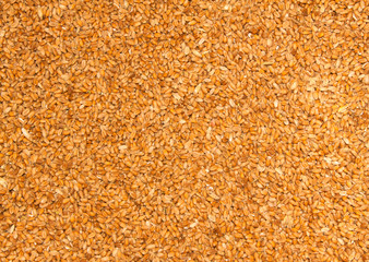 Processed organic wheat grains