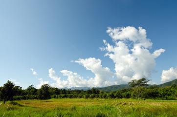 Fototapeta na wymiar Grass, mountain and cloudy sky view of Chiangmai Thailand