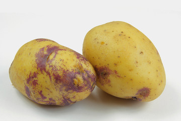 pommes de terre 18112015