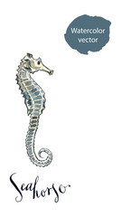 Sea horse