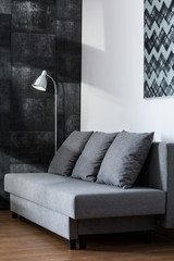 Comfortable gray sofa