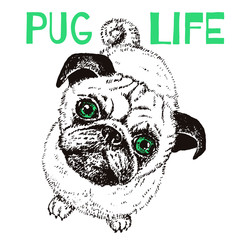 Pug Life dog, vector hand drawn sketch with cute domestic animal