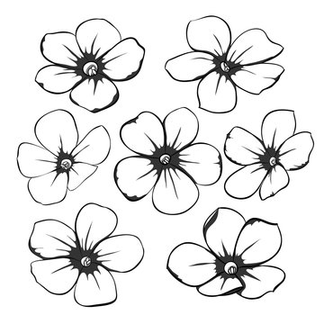 Beautiful monochrome black and white floral collection with leaves and flowers.