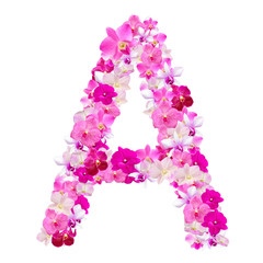 Letter A from orchid flowers isolated on white with working path