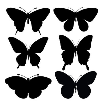set of black silhouettes of butterflies
