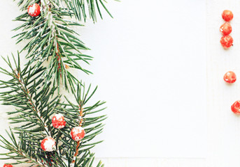 Fototapeta na wymiar Natural fir tree twig festive decor border on white empty background card