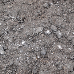 Fresh soil background closeup