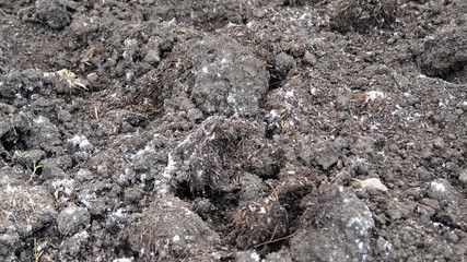 Fresh soil background closeup