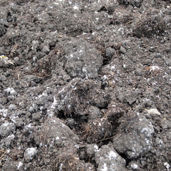 Fresh soil background closeup