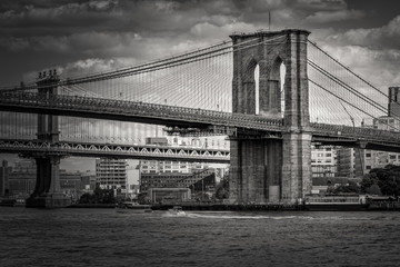 Black and white image of the Brooklyn Bridge in New York - Powered by Adobe