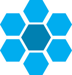 Blue Hex Logo