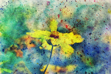 artwork with cute yellow flower and watercolor spatter - 96184065