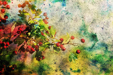 hawthorn branch and watercolor brushstrokes