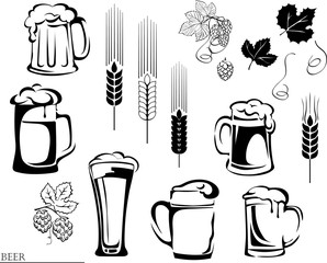 beer, beer mug, hop, vector, illustration, elements of graphic registration