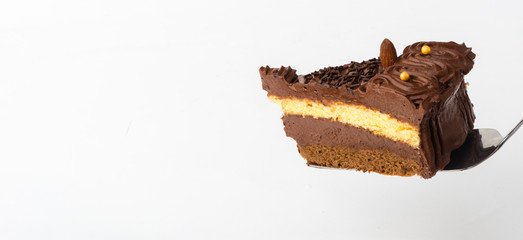 Slice of homemade cake with dark chocolate. Studio shot on white background.