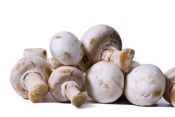 Fototapeta premium mushroom isolated