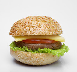 Burger isolated