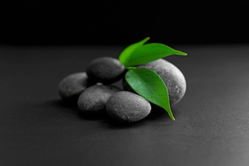 Pebbles with leaf on black background