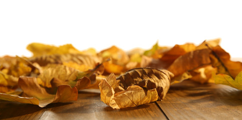 Yellow autumn leaves on wooden table, isolated on white