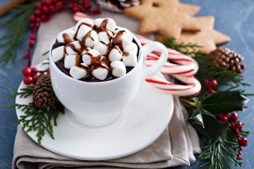 Christmas hot chocolate with ornaments