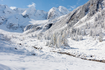 Fototapeta na wymiar verschneiter Winterwald im Hochtal