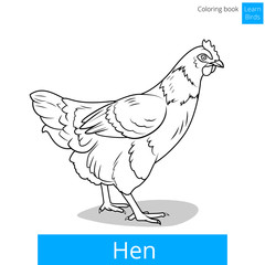 Hen learn birds coloring book vector
