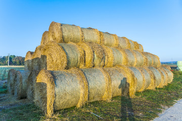 bale of straw in autumn
