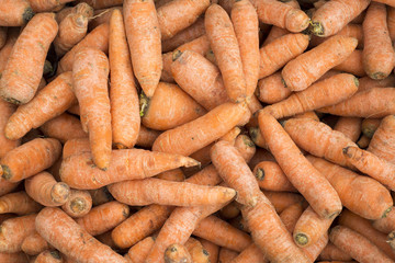 Zanahoria en supermercado - Daucus carota