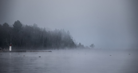 Heavy Fog shrouding peninsular forest - mist rising from water.