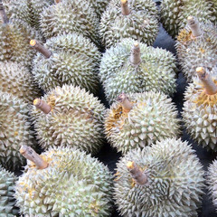 durian