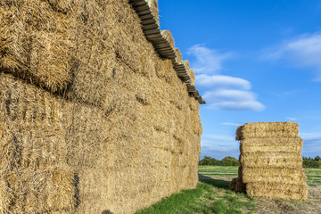 bale of straw in autumn