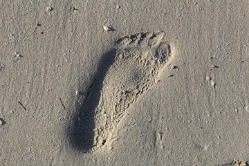 Big footprint.
